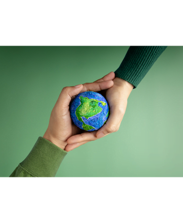 Sostenibilidad, medio ambiente amigable